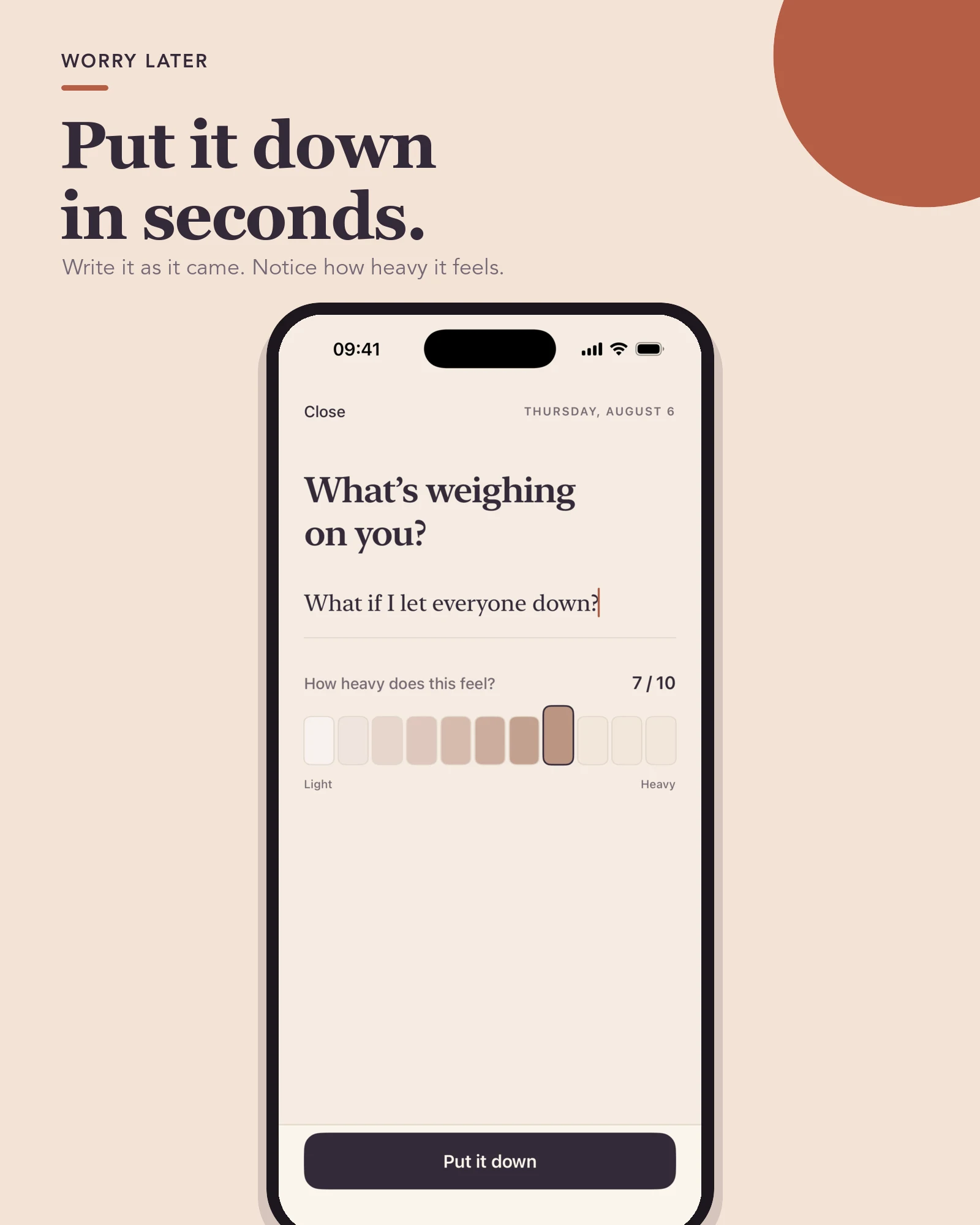 Worry Later capture screen: Put it down in seconds